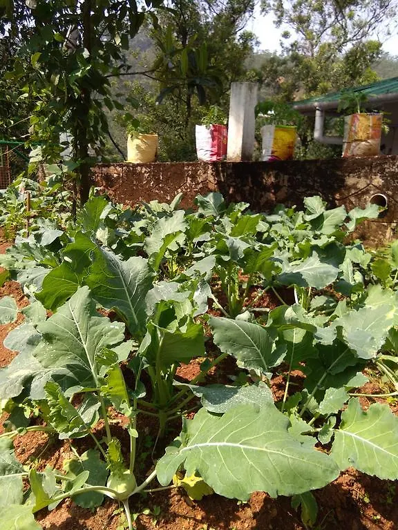 T & U Leisure Hotel Munnar India